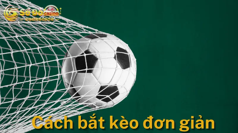 Cách bắt kèo phạt góc tài xỉu đơn giản cho tân thủ