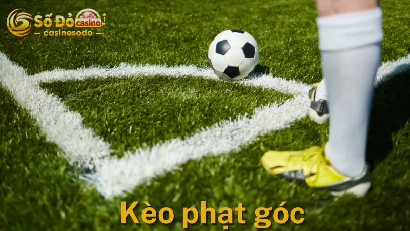 Kèo phạt góc được đánh giá là kèo có tỉ lệ thắng khá cao