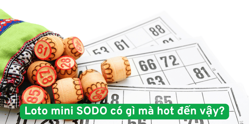 loto mini có gì mà hot đến vậy